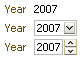 Read-only and editable year options in a form.