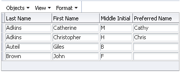 A US English table with every cell in each row an editiable name field. 