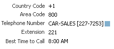 Example of multiple line/multiple telephone field layout in US. (read-only state)