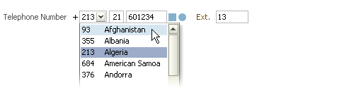 Example of single line/multiple telephone field layout in U.S. (editable state)