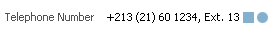 Example of single line/multiple telephone field layout in U.S. (read-only state)