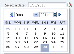 FusionFX Guidelines - Input/Choose Date